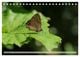 Thumbnail-14