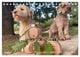 Thumbnail-12