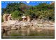 Thumbnail-12