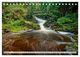 Thumbnail-9