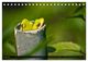Thumbnail-11