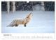 Thumbnail-14