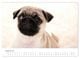 Thumbnail-12