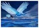 Thumbnail-12