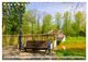 Thumbnail-12