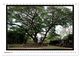 Thumbnail-11