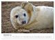 Thumbnail-13