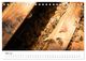Thumbnail-10