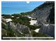 Thumbnail-14