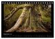 Thumbnail-14