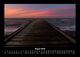 Thumbnail-12