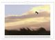 Thumbnail-14