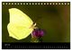 Thumbnail-12