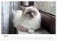 Thumbnail-11