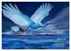Thumbnail-12