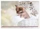 Thumbnail-12
