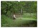 Thumbnail-14