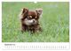 Thumbnail-11