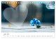 Thumbnail-9