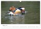 Thumbnail-13