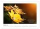 Thumbnail-12