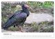 Thumbnail-14