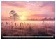 Thumbnail-10