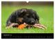 Thumbnail-11