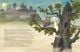 Thumbnail-3