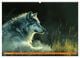 Thumbnail-12
