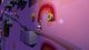 Thumbnail-7