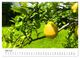 Thumbnail-11