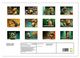 Thumbnail-9