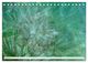 Thumbnail-11