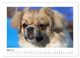 Thumbnail-8