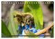 Thumbnail-11