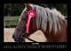 Thumbnail-11