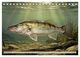 Thumbnail-14