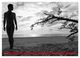 Thumbnail-12