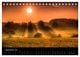Thumbnail-11