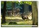Thumbnail-14