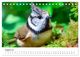 Thumbnail-10