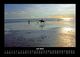 Thumbnail-11