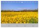 Thumbnail-11