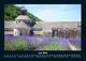 Thumbnail-11