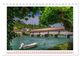 Thumbnail-14