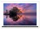 Thumbnail-9