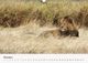 Thumbnail-13