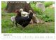 Thumbnail-11