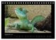 Thumbnail-11